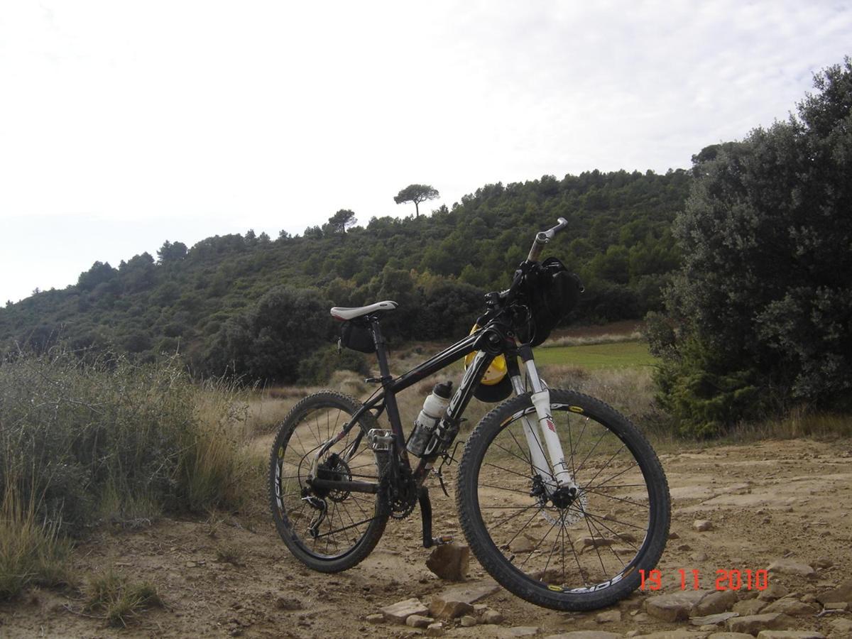 El Pinar De Bardena Βίλα Carcastillo Εξωτερικό φωτογραφία