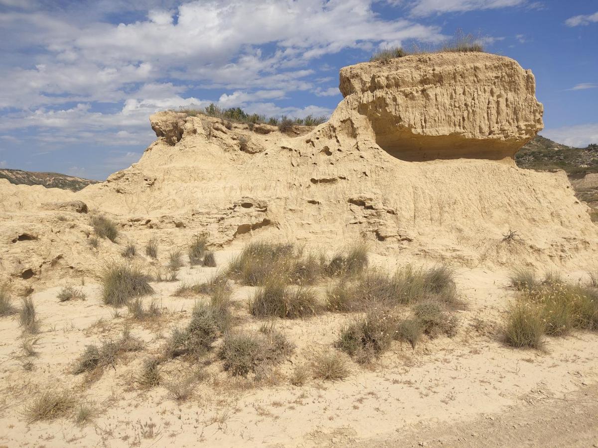 El Pinar De Bardena Βίλα Carcastillo Εξωτερικό φωτογραφία
